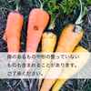 【無農薬・無肥料】生命力溢れる 旬野菜セット《常温便》（冬の根菜中心、2月）