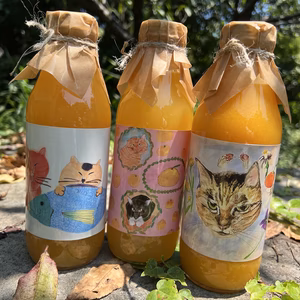 【数量限定】大変お得な価格で！ジュースセット3本【八朔　甘夏　青島