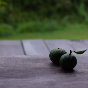 露地へべす（1kg）（有機JAS移行中1年目）