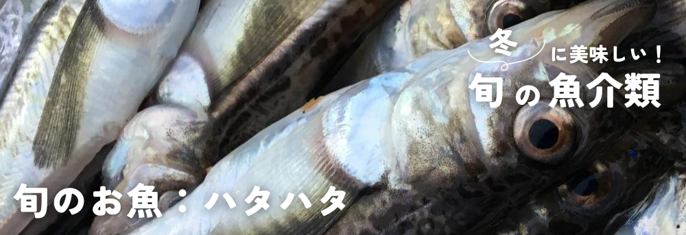 2023年版】冬に美味しい旬の魚介類（ハタハタや真鱈など）予約・購入も