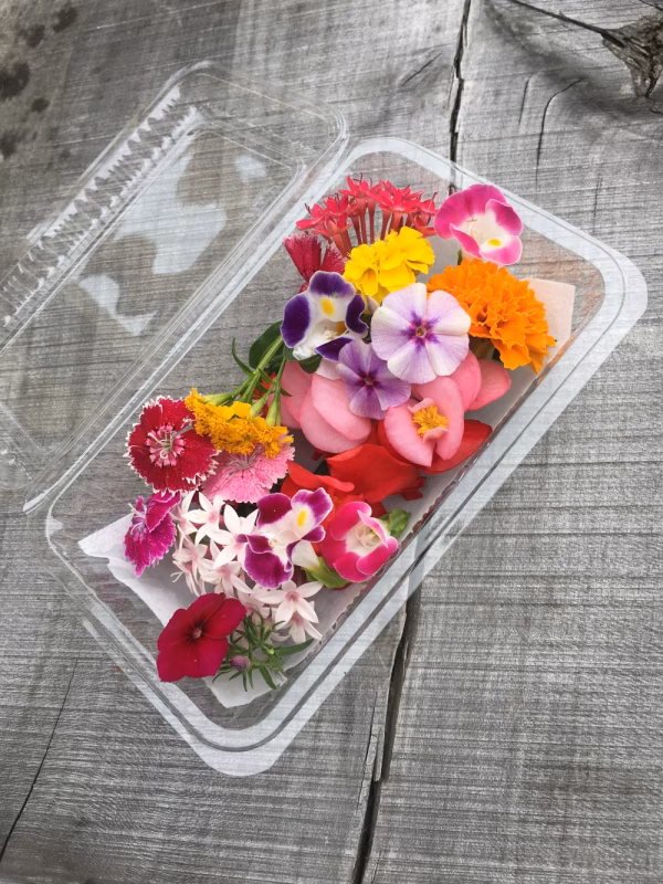 エディブルフラワー 季節ミックス(食用花)