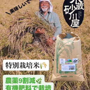 【特別栽培米】鹿野のさくら姫米　コシヒカリ 10kg