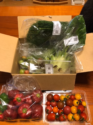 みんなの投稿の画像