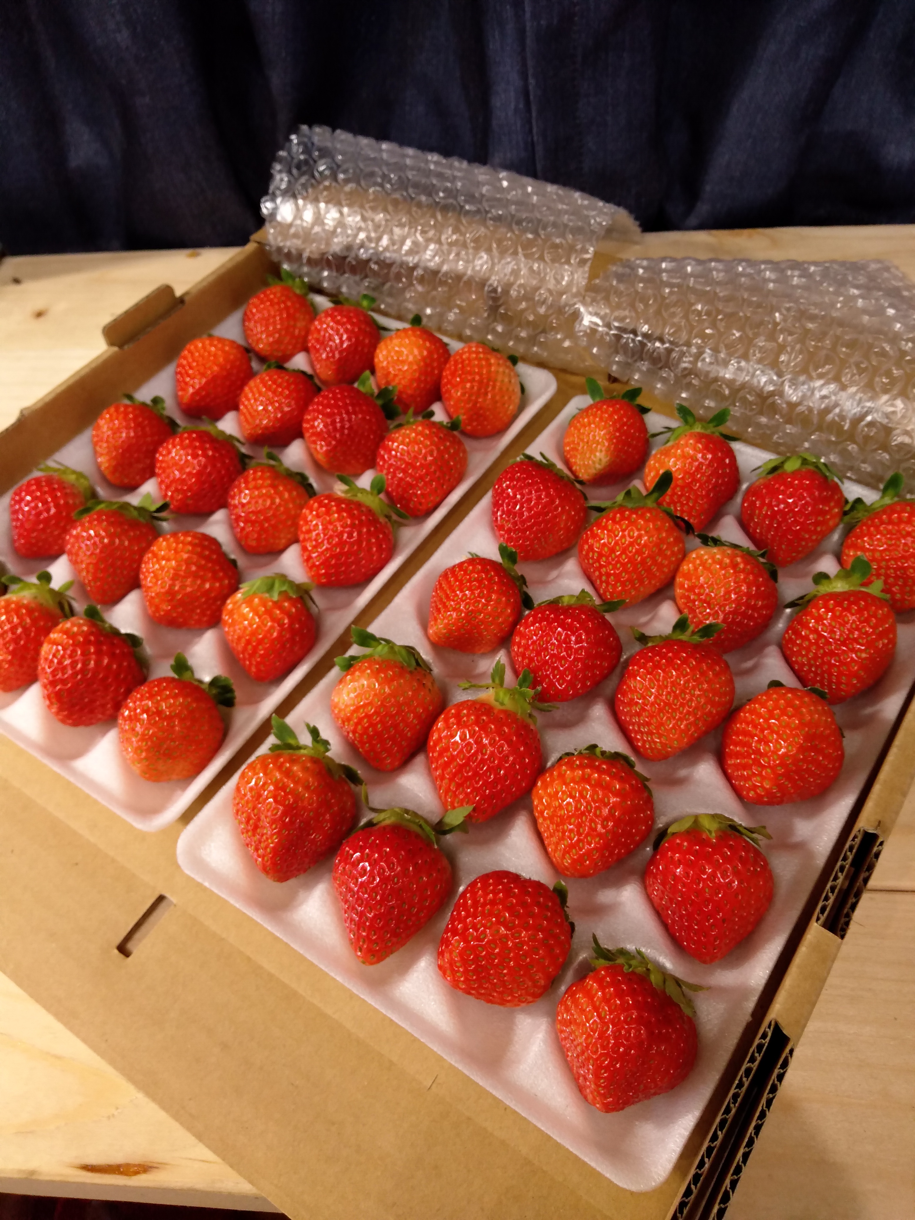 【減農薬】青森県産　夏イチゴ　中粒・小粒規格外　2kg 　希少　加工用　訳あり