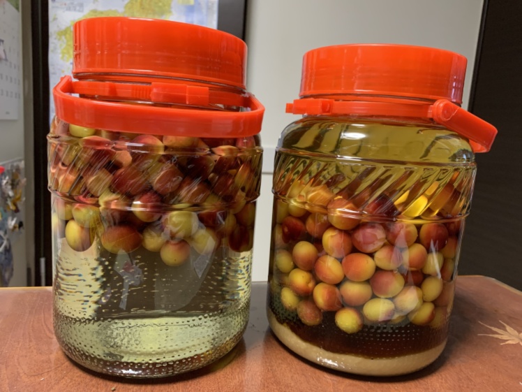 青いダイヤ スッキリ 梅酒 梅ジュース 中山農園の古城梅 青梅 農家漁師から産地直送の通販 ポケットマルシェ