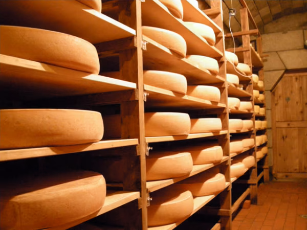 季節限定！1年熟成本格ハードタイプ「シントコ」