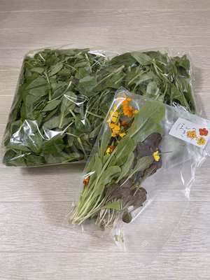 みんなの投稿の画像