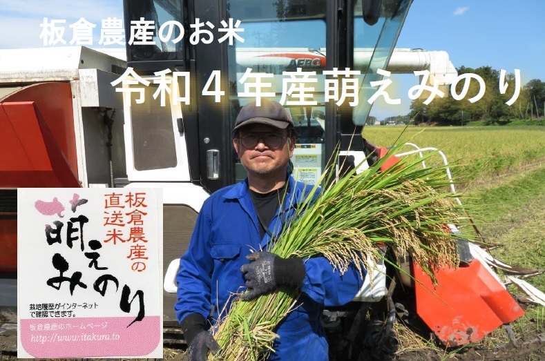 お買得！大粒☆宮城県産萌えみのり20キロ - 米/穀物