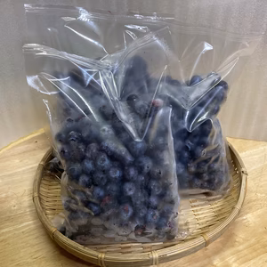 2024年産【博多湾の離島で育っています♪】採れたて冷凍ブルーベリー