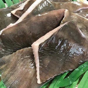 北海道宗谷産！真かすべ皮付き切身1kg