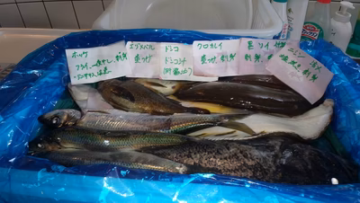 みんなの投稿の画像