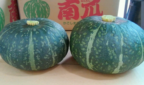 鹿児島産 かぼちゃ             人気の品種 （味平）
