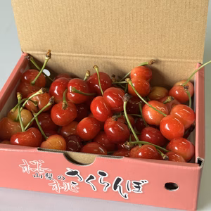 【数量限定お試し価格】さくらんぼご家庭用(訳あり品)300g