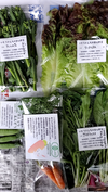 レターパックでお届け✨JAS有機高原野菜を信州諏訪湖の畔から