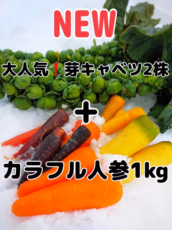 【終了間近】株ごと芽キャベツ(2株)とカラフル人参(1kg)セット