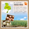 淡路島 玉ねぎ 10キロ 定期便 甘い 玉葱