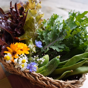 旬の野菜セットL10-12種類/100サイズ【自然栽培】