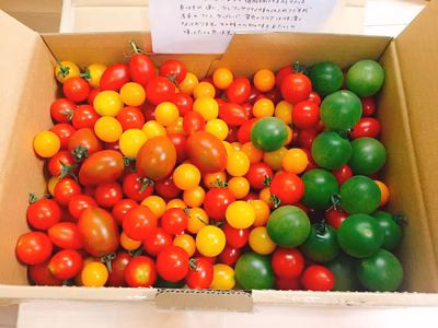 みんなの投稿の画像