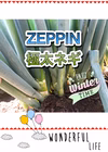 ZEPPIN 極太ネギ　