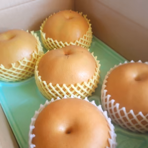 B-AN3　限定７箱！　あきづき３玉 ＋ 新高２玉食べ比べset