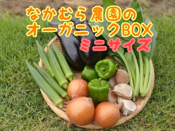 【クール便】なかむら農園のオーガニックBOX野菜7品
