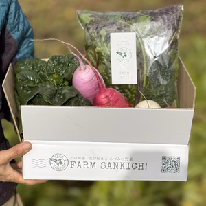 【福袋2026】安曇野旬の野菜セット/サラダミックス＆冬野菜3種