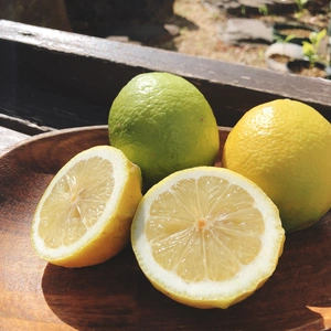 【農薬不使用】小豆島産早摘みレモン2kg