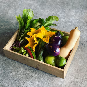 旬の野菜セットS/5-6品目【自然栽培】無肥料無農薬