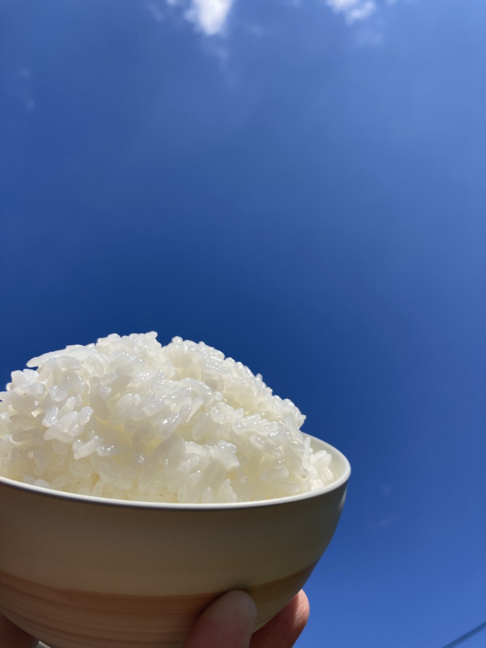 レイチェル　20キロ玄米のまま小分けなし 玄米 – JAひがしみのオンラインショップ
