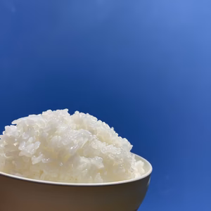 ⭐︎もちもちふっくらつきあかり⭐︎令和7年度産こだわりのお米　精米10キロ