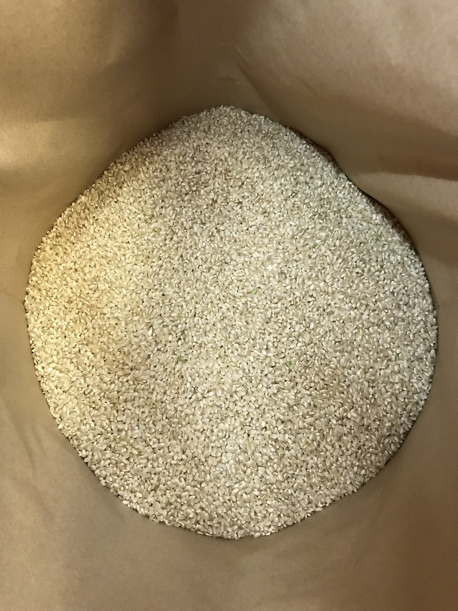 コシヒカリ(玄米) 10kg 令和7年度 広島県産｜玄米の商品詳細