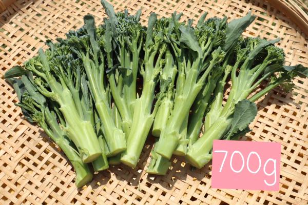 子どもがモリモリ食べる！茎ブロッコリー　from 名水の里　秦野