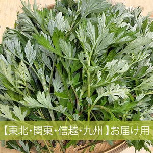 配送地域指定あり②【奈良県産】柔らか春よもぎ／無農薬・化学肥料不使用