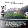 【送料無料】梅ほうじ茶／2.5g×50 ティーバッグ 松田製茶 TBG-025