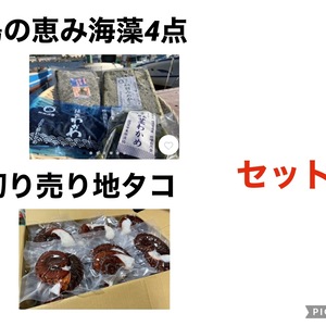 〜猿島の恵み〜海藻4点＋足切り売り地たこ　セット