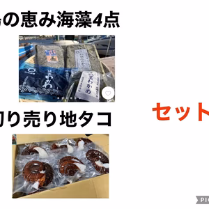 〜猿島の恵み〜海藻4点＋足切り売り地たこ　セット