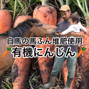 【農薬・化学肥料不使用】有機人参5kg〜
