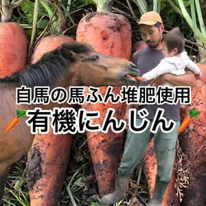 【農薬・化学肥料不使用】人参2kg〜