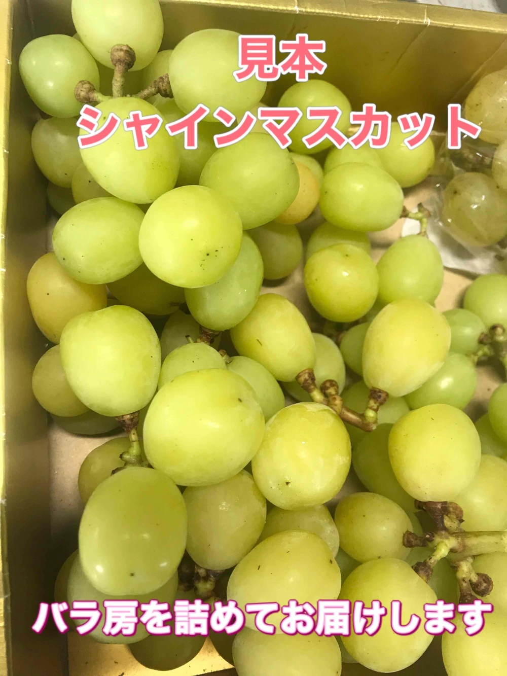 天山とシャインマスカット　４キロ　セール！　長野県産　減農薬　送料無料　甘い