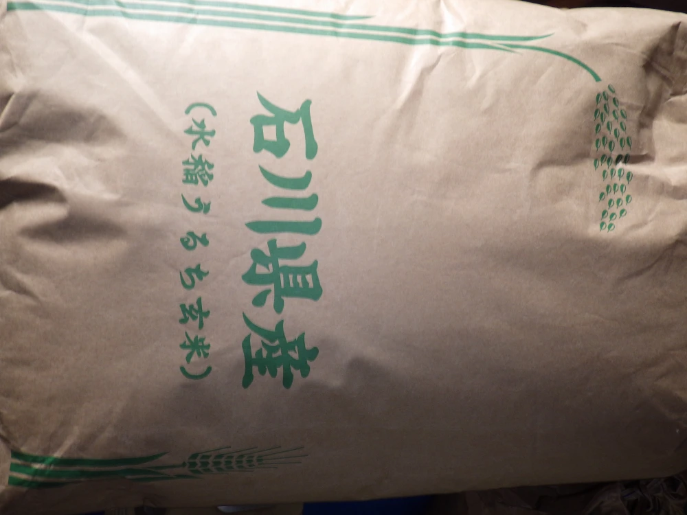 金沢のお米「おくしんぼ米」玄米１０ｋｇ【R１年産】コシヒカリ