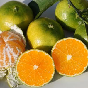 極早生　みかん！　内容量選べます！！　家庭用！　