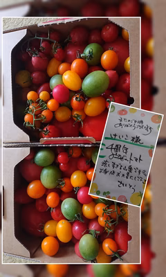 みんなの投稿の画像