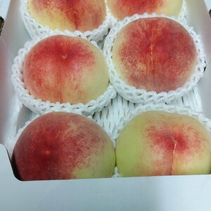 《数量限定》香川県産　桃　あかつき