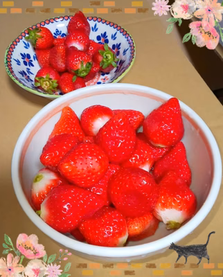 みんなの投稿の画像