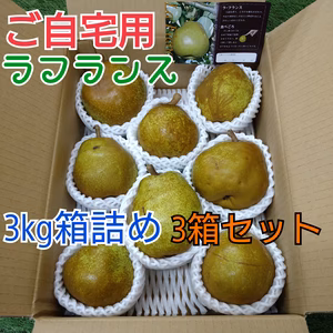 ●ご自宅用●ラ・フランス サイズおまかせ　　【３kg箱詰】✕3箱