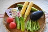 【印度カリー子さんとのコラボ商品】夏野菜5種×チキンカレー9種のスパイスセット