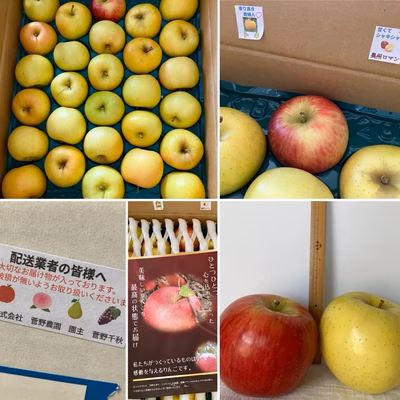 みんなの投稿の画像