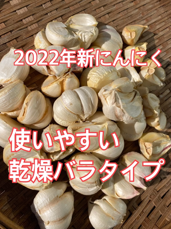 バラ【低農薬】和歌山M'sファームで採れた乾燥新にんにく　1㎏・5㎏選べます。