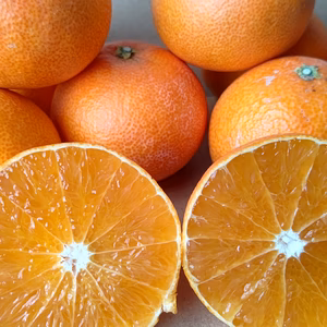 八幡浜果試２８号家庭用４.３キロ