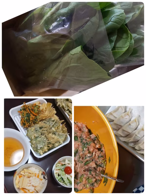 みんなの投稿の画像